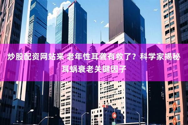 炒股配资网站来 老年性耳聋有救了？科学家揭秘耳蜗衰老关键因子